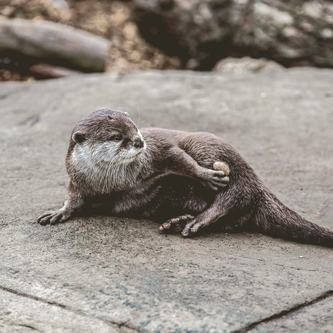 Digital Funのジャケット画像