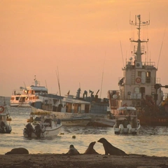 Cover art for Sidewalk Daydream