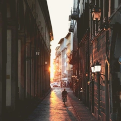 Cover art for Laser Grid Pursuit