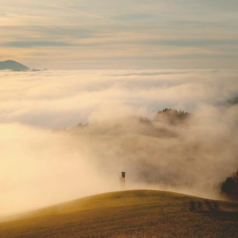 Arte da capa para A Space Between Thoughts