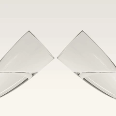 Rise With The Future