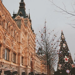 Wonder Under Winter Skies