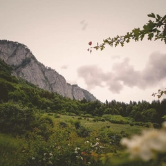 Where the Silence Stays