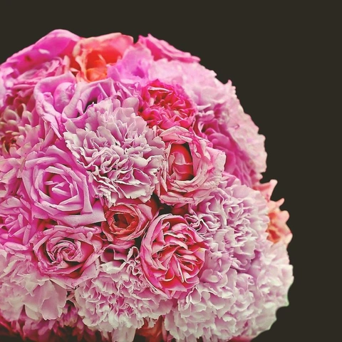 Cover art for Neon Groove Revival