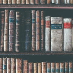 Caprice in Bright Motion