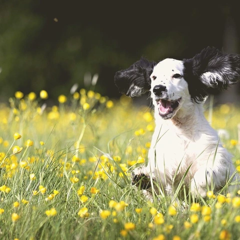 Coverbild für Off Script