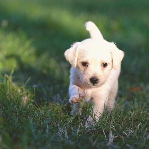 Arte da capa para Solved Outcome