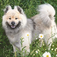 Neon Pulse Through Midnight