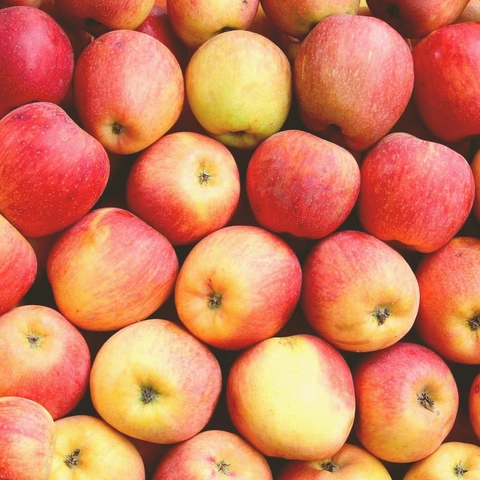 Coverbild für Smooth Cream