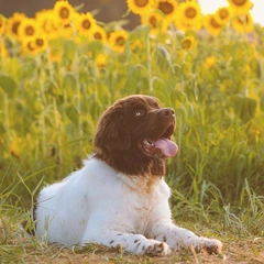 Warm Hearts and Open Roads