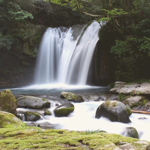 Cover art for Quietly Drifting