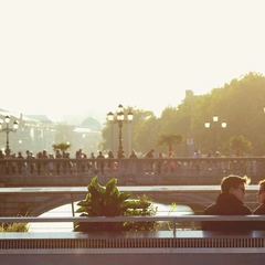 Midnight Street Serenade