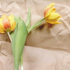 Cant Stop The Dancing