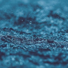 What Remains Unspoken