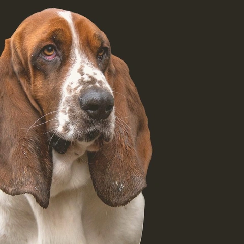 Portada para Midnight Coffee Jazz