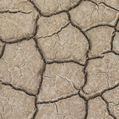 Silent Protocolのジャケット画像