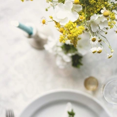 Ballet of the Snowflakes