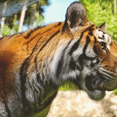 Cover art for Power Circuit Run