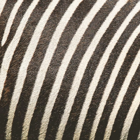 Pochette pour Pixel Blitz Anthem