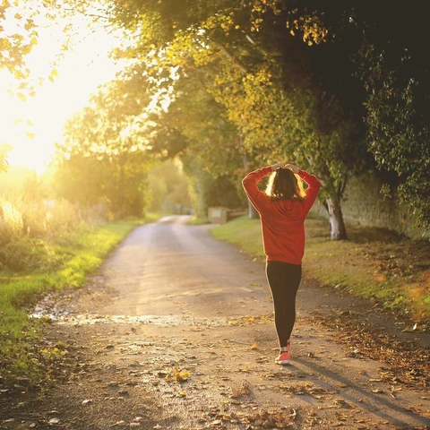Pochette pour Fearless