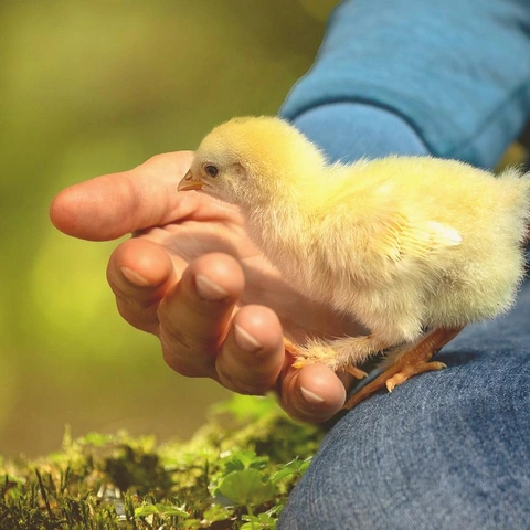 Weekend Buyのジャケット画像