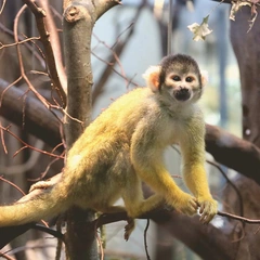 City Lights and Late Nights