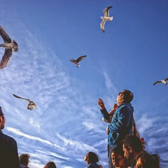 Warmth on the Horizon