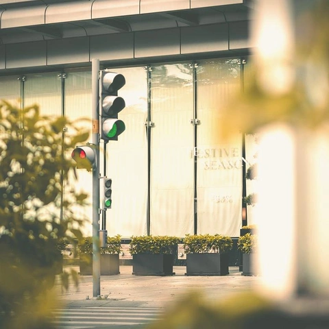 Pochette pour Demon Creature