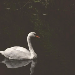 Notes from a Quiet Window