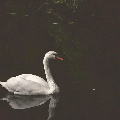 Notes from a Quiet Windowのジャケット画像