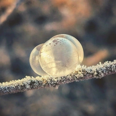 Echoes Beneath the Rain