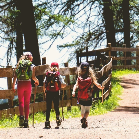 Cover art for Arena of the Heart