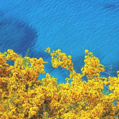 Pochette pour Ocean Eyes Awake