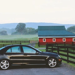 A Quiet Kind of Happy