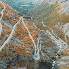 A World Taking Shape