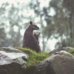 Kiss The Morning Sun