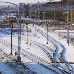 Sleepless Needle Drops