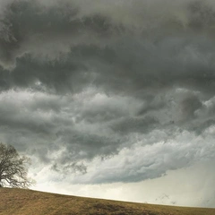 Shadows over the Last Harbor