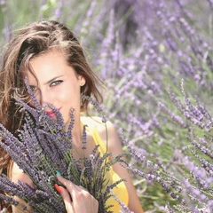 Good Mood Guitar Groove