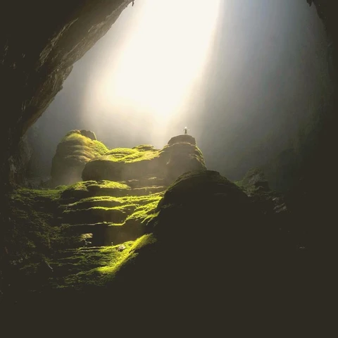 Call of the Tribeのジャケット画像