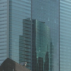 Electric Heartbeat of the Night