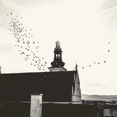 A Whisper to the Sky