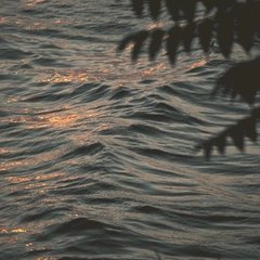 Tears in Slow Motion