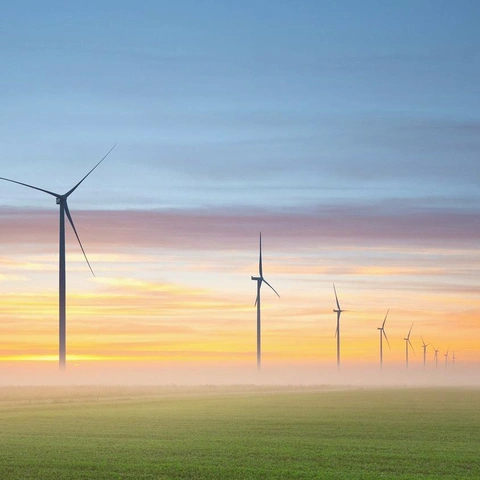 Coverbild für Starlight Rising