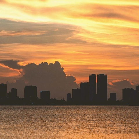 Coverbild für Rage Protocol