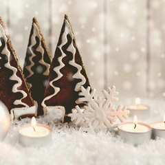 Shadows in the Attic