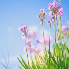 Playful Little Strum