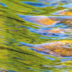 Guitar Under Quiet Skies