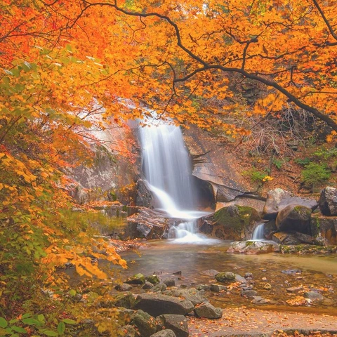 Cover art for Echoes of a Distant Dawn