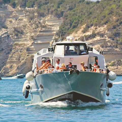 Cover art for Chasing Shadows